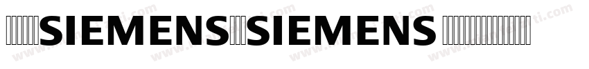 SiemensSans BoldItalic字体转换